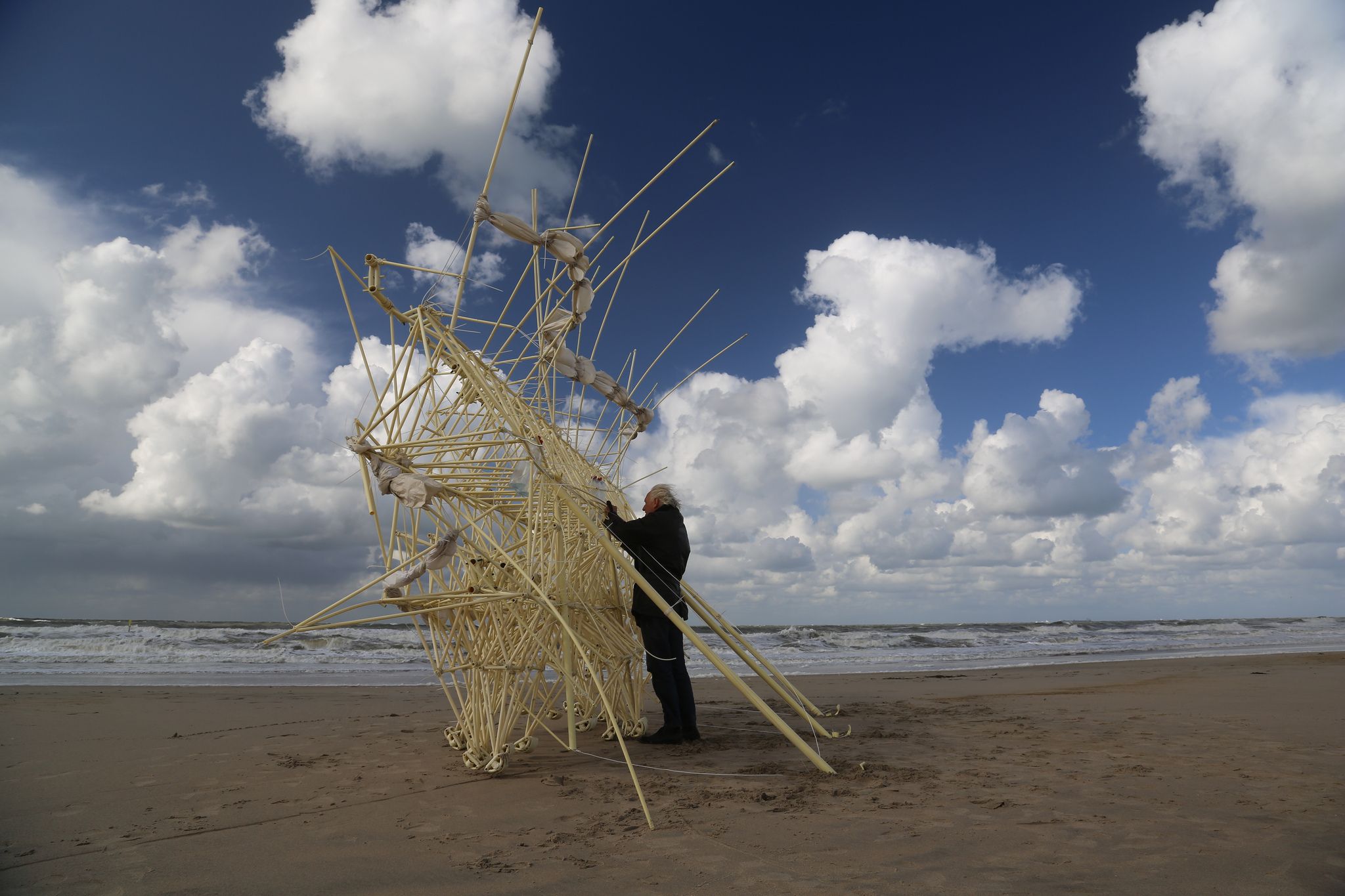 O artista leva suas obras para a praia na primavera, e as aprimora ao longo do verão. Foto: Divulgação.
