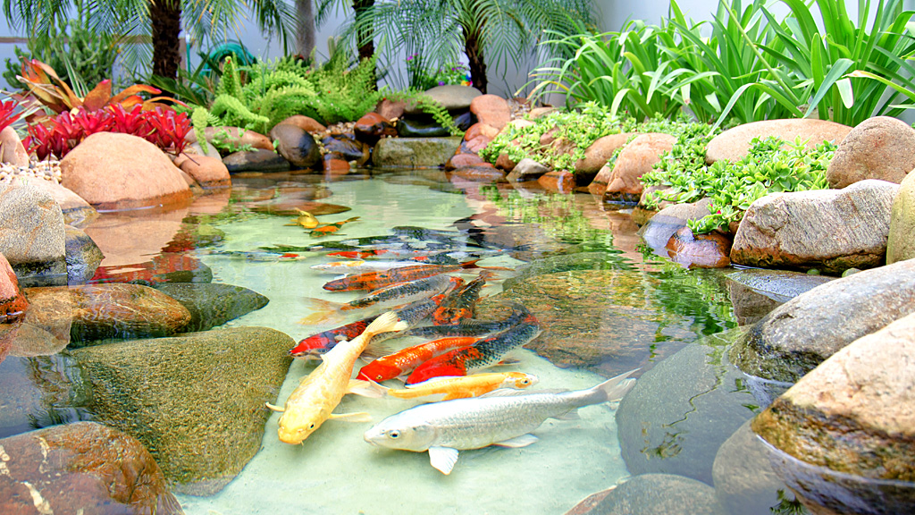 Montar um lago artificial para compor o jardim é mais fácil do que você imagina Montar um lago artificial para compor o jardim é mais fácil do que você imagina