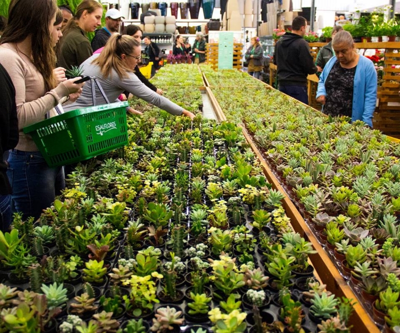 Foto: Esalflores/divulgação