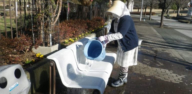 Fotos: Noguchidental.seesaa.net/Reprodução