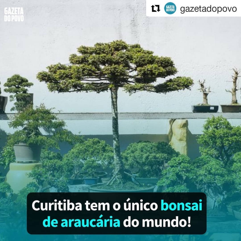 Retrospectiva: as 10 fotos mais curtidas no Instagram da HAUS em 2018 Retrospectiva: as 10 fotos mais curtidas no Instagram da HAUS em 2018