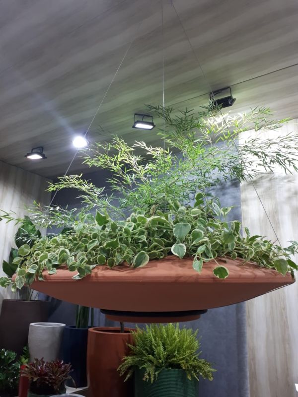 Decoração lúdica e cheia de detalhes é tendência; confira 15 lançamentos para renovar a casa Decoração lúdica e cheia de detalhes é tendência; confira 15 lançamentos para renovar a casa
