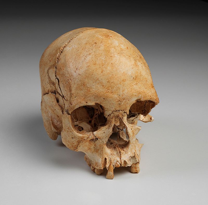 Esqueleto mais antigo descoberto nas Américas, popularmente conhecido como Luzia e uma das peças perdidas durante o incêndio. Foto: Museu Nacional Esqueleto mais antigo descoberto nas Américas, popularmente conhecido como Luzia e uma das peças perdidas durante o incêndio. Foto: Museu Nacional