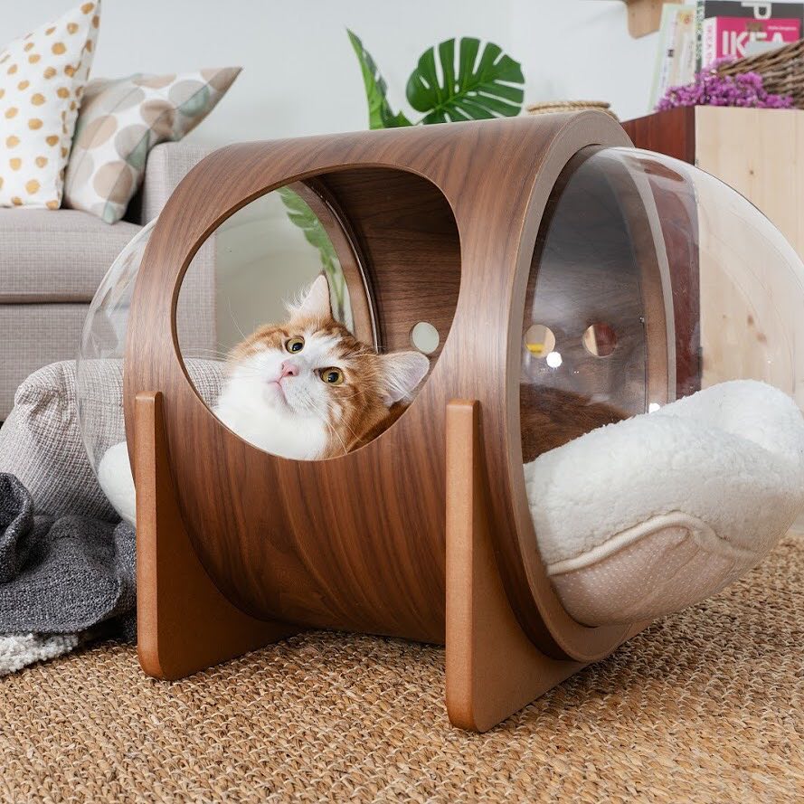 Marca de design cria casinha para gato inspirada em nave espacial Marca de design cria casinha para gato inspirada em nave espacial