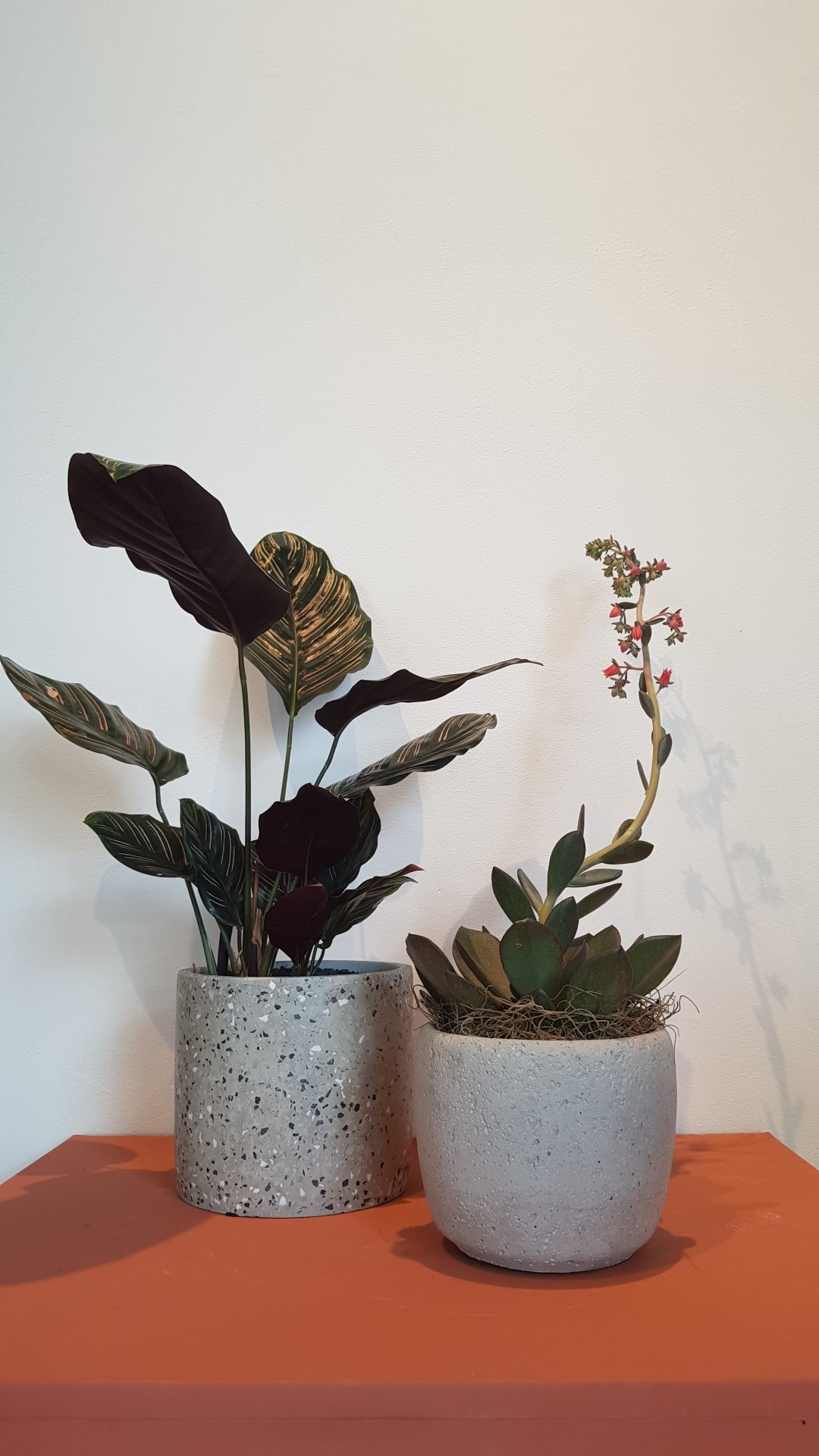 Sabe o granilite dos pisos antigos? Ele voltou repaginado em produtos de design; inspire-se Sabe o granilite dos pisos antigos? Ele voltou repaginado em produtos de design; inspire-se