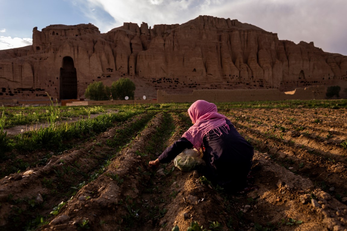 A girl picks weeds used for cooking from a potato field near the Buddha complex in Bamiyan, Afghanistan, May 20, 2019. Since the Taliban destroyed the two giant statues in March 2001, the degradation has continued, as Afghanistan and the international community have spent 18 years debating what to do to protect or restore the site. (Jim Huylebroek/The New York Times) A girl picks weeds used for cooking from a potato field near the Buddha complex in Bamiyan, Afghanistan, May 20, 2019. Since the Taliban destroyed the two giant statues in March 2001, the degradation has continued, as Afghanistan and the international community have spent 18 years debating what to do to protect or restore the site. (Jim Huylebroek/The New York Times)