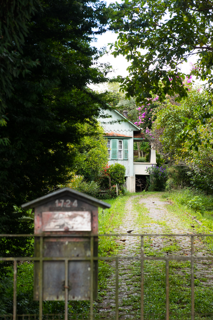Uma casa atrás da moita representa centenas de residências em madeira que foram deixando a paisagem de Curitiba. Foto: Washington Takeuchi. Uma casa atrás da moita representa centenas de residências em madeira que foram deixando a paisagem de Curitiba. Foto: Washington Takeuchi.
