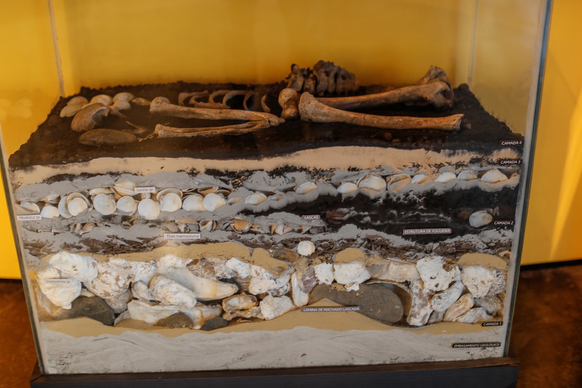 Departamento de Arqueologia do Museu Paranaense, responsável pelas pesquisas arqueológicas no estado e por um acervo de milhares de peças, como cerâmicas e ossos humanos Departamento de Arqueologia do Museu Paranaense, responsável pelas pesquisas arqueológicas no estado e por um acervo de milhares de peças, como cerâmicas e ossos humanos
