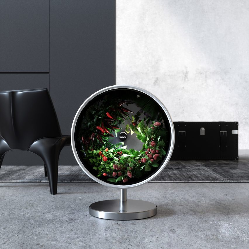 Horta hidropônica portátil é capaz de produzir alimentos dentro do apartamento. Foto: Divulgação