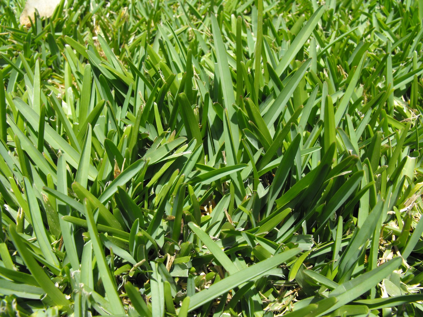 Foto: Bigstock Foto: Bigstock