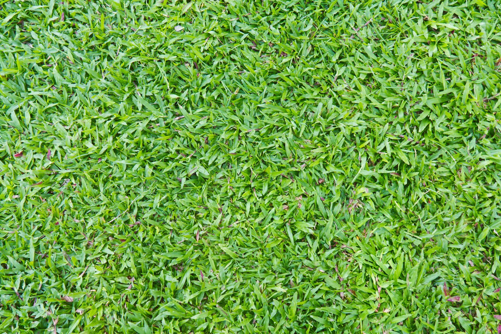 Foto: Bigstock Foto: Bigstock
