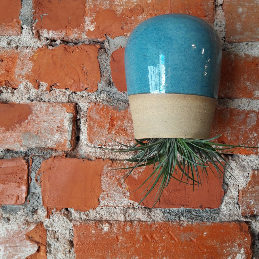 Tillandsia de cabeça para baixo em vaso feito pela EnTorno Cerâmica para a Borealis. Fotos: Fotos: Marcela Belz/Divulgação Borealis Tillandsia de cabeça para baixo em vaso feito pela EnTorno Cerâmica para a Borealis. Fotos: Fotos: Marcela Belz/Divulgação Borealis