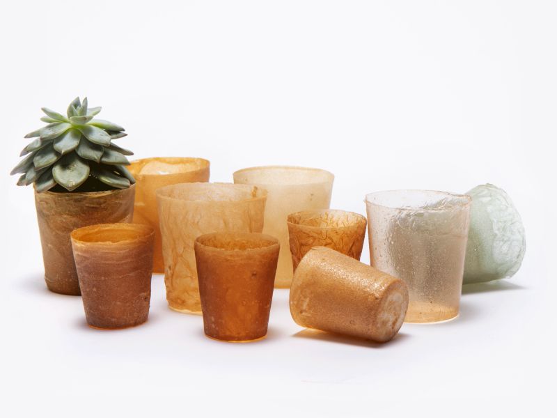 Estudantes de design criam máquina que transforma cascas de frutos do mar em bioplástico Foto: Divulgação