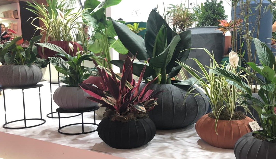 Coleção Hanazaki, assinada por Alex Hanazaki, inspirada em lanternas japonesas. Foto: Aléxia Saraiva/HAUS