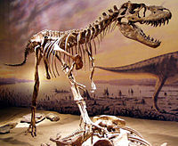 Quem disse que os dinossauros foram extintos?