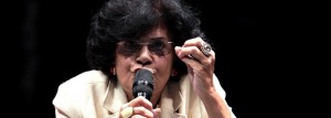 Os "intelectuais" de esquerda e sua falta de vergonha na cara