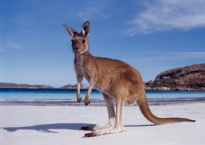 Sobre os 25 anos de crescimento australiano