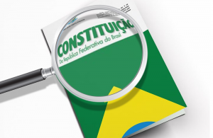 Pequena contribuição jurídica para o Congresso Brasil Paralelo