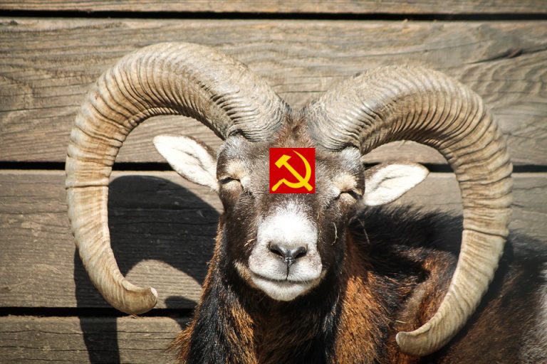 Socialistas Sao Como Cornos Mansos