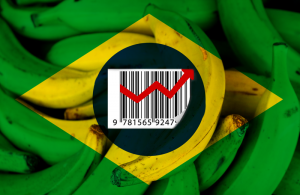 Os preços DEVEM subir em época de escassez: entenda por quê
