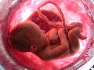 Mulheres no poder! Desde que sejam feministas e apoiem o aborto…