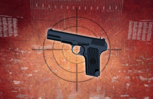 O direito à posse e ao porte de armas é uma questão de princípio