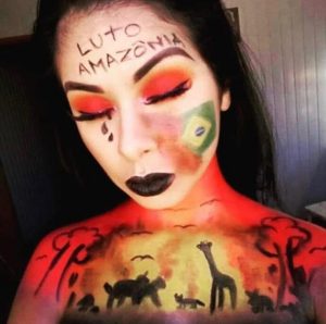 Há muito oportunismo e hipocrisia nessa grita pela Amazônia