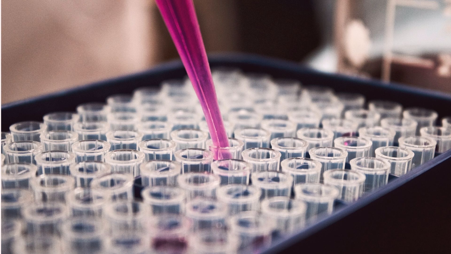 Variante tem mutações importantes que dão mais rapidez na transmissão.