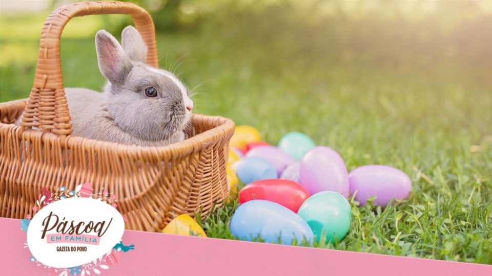 Qual a ligação dos ovos, coelhos, colombas pascais e outros mais, com a Páscoa?