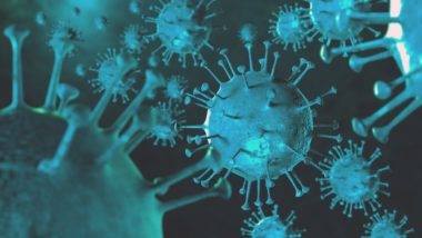 Descoberta a “porta” que se abre no coronavírus para que ele possa infectar Por meio da supercomputação, pesquisadores fizeram uma simulação animada de como o coronavírus infecta as células humanas