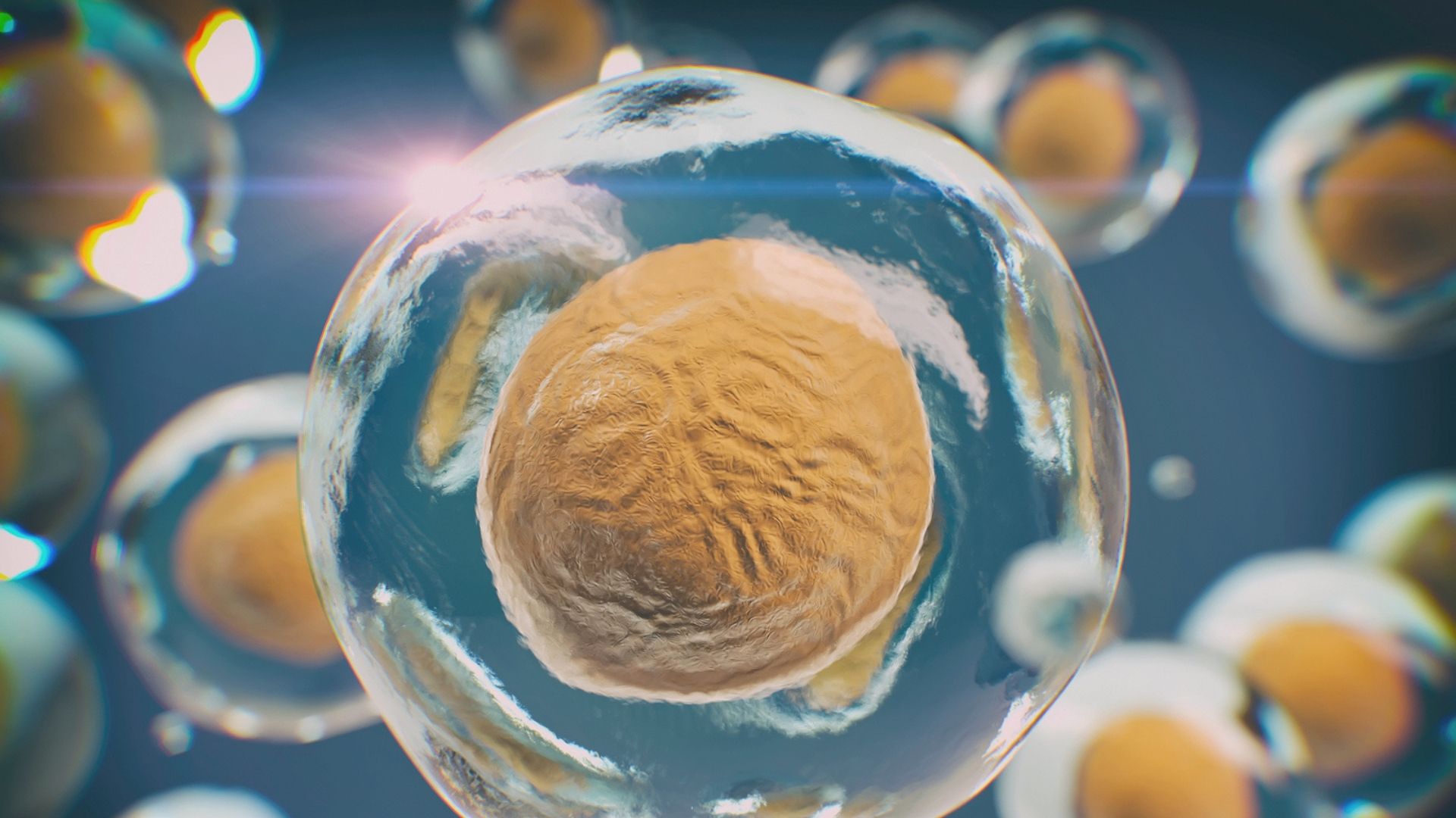 Disposição a atacar as próprias células de defesa pode agravar casos de Covid-19.