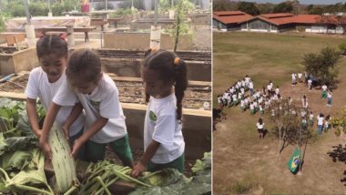 Educação, preservação e apoio social: conheça o projeto Acaia Pantanal O projeto atende 100 crianças que moram no entorno do Rio Paraguai, no Mato Grosso do Sul, em uma área de difícil acesso