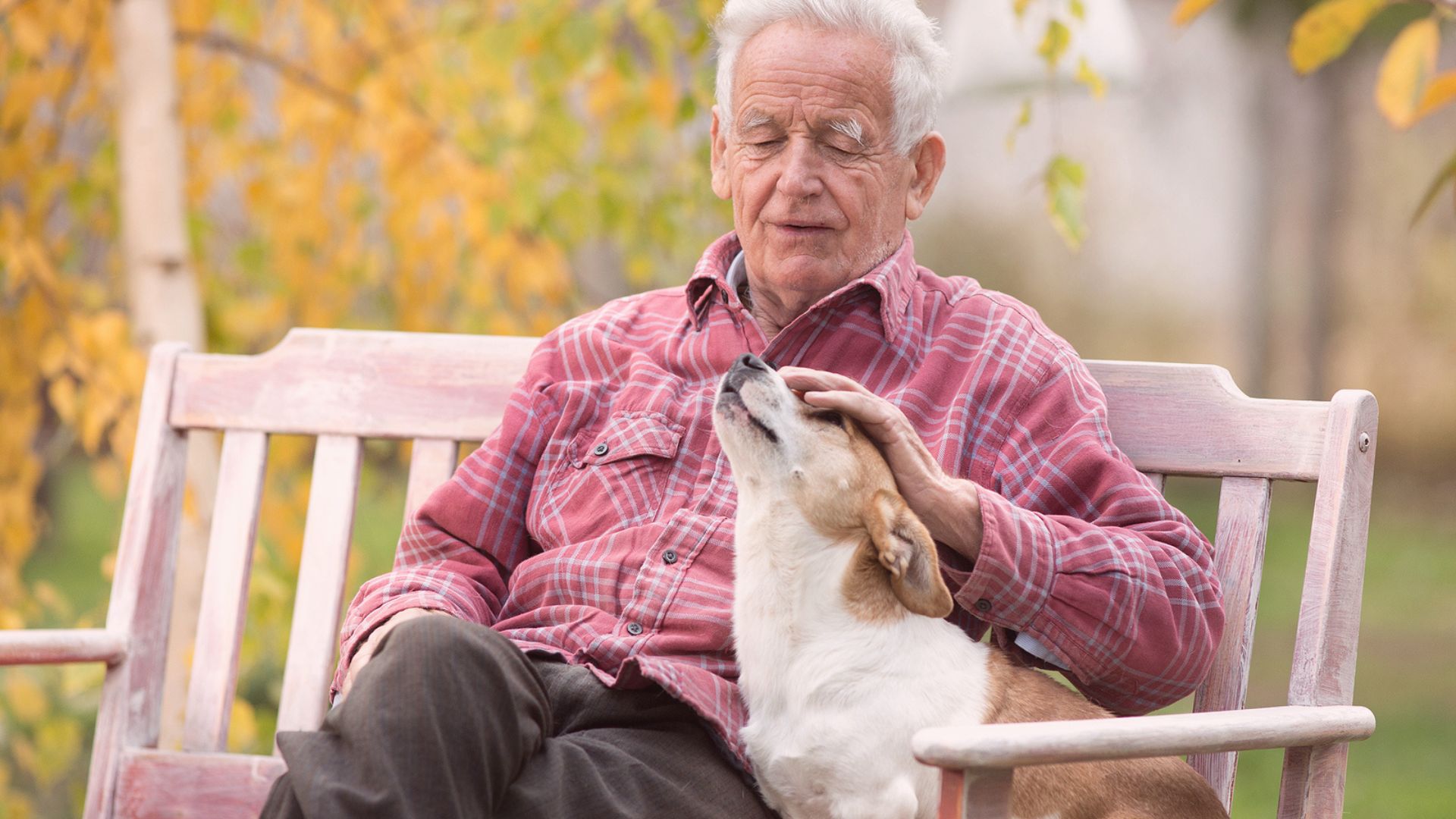 Embora saibamos os benefícios de se ter um animal de estimação em casa, quando o assunto envolve idosos, há sempre uma preocupação.