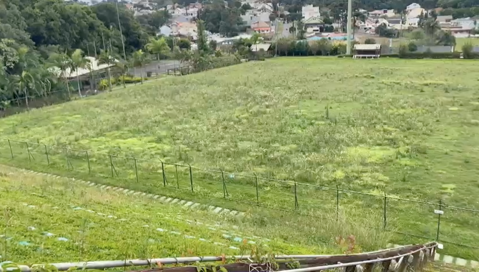 Mato tomou conta do gramado do estádio. Reprodução Mato tomou conta do gramado do estádio. Reprodução