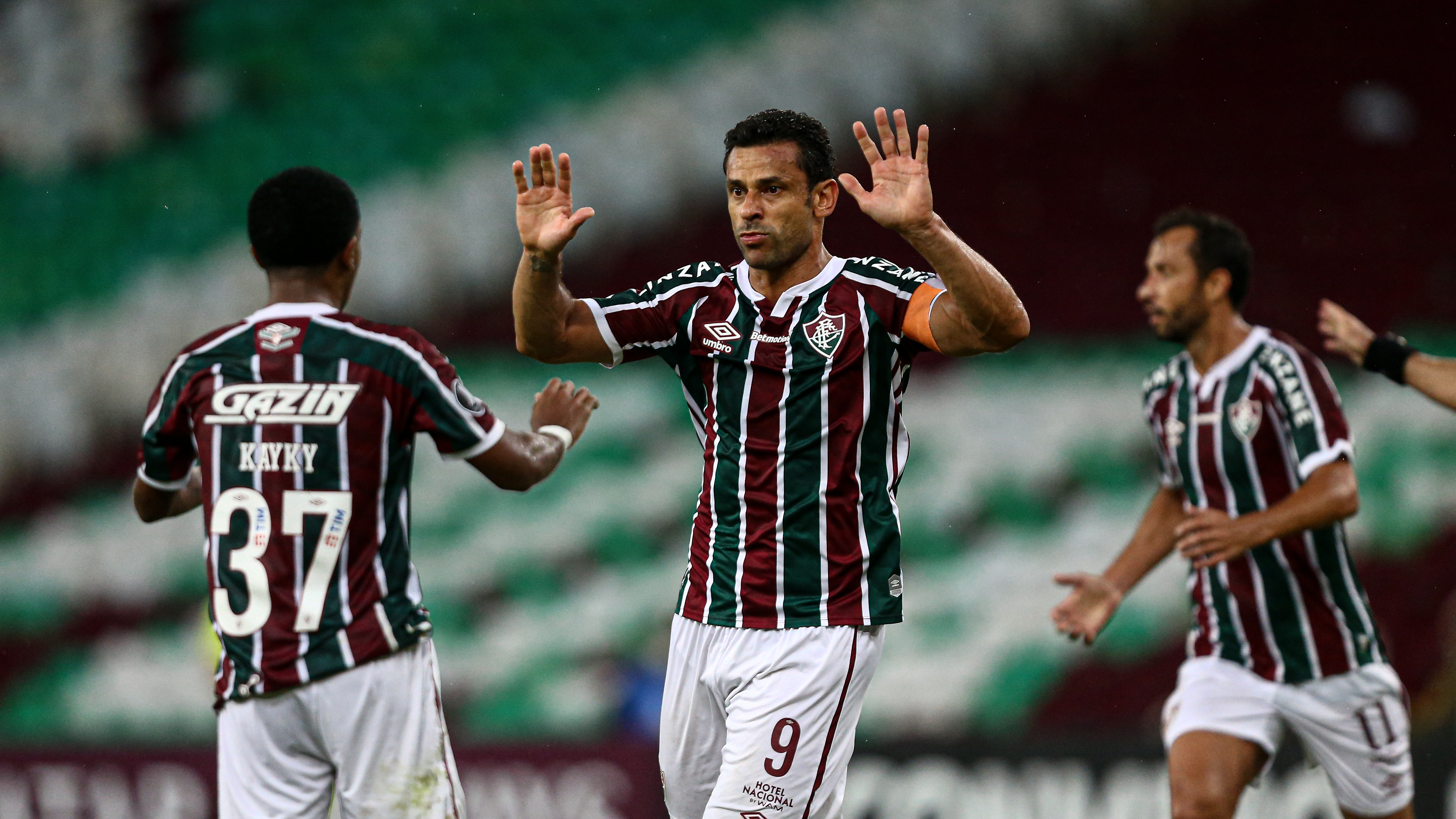 Guia do Brasileirão - Fluminense Guia do Brasileirão - Fluminense