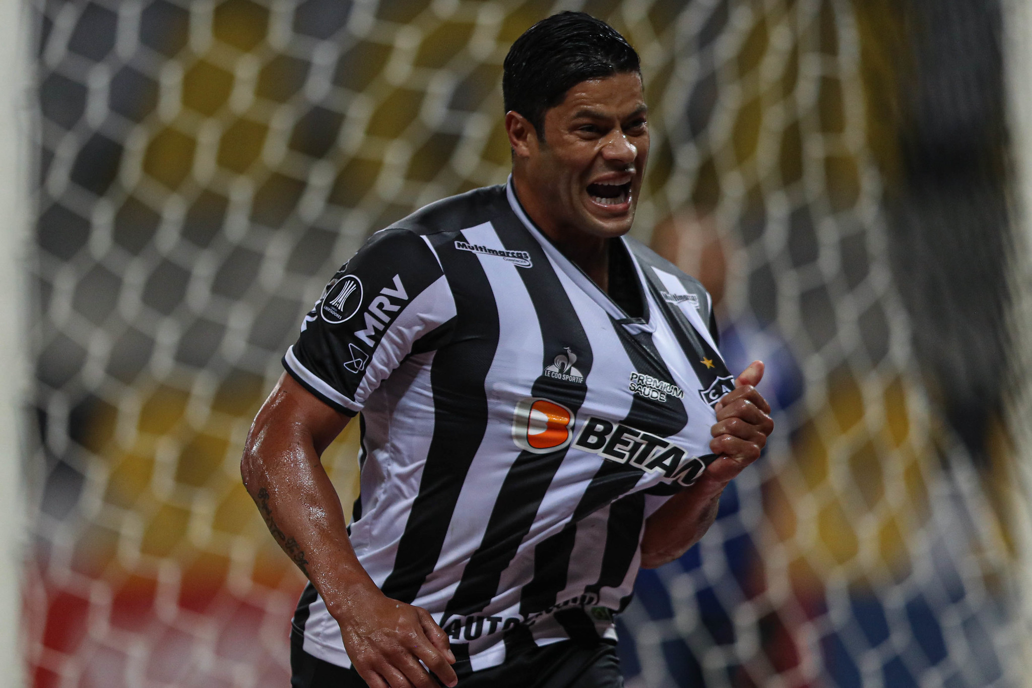 Guia do Brasileirão - Atlético-MG Guia do Brasileirão - Atlético-MG