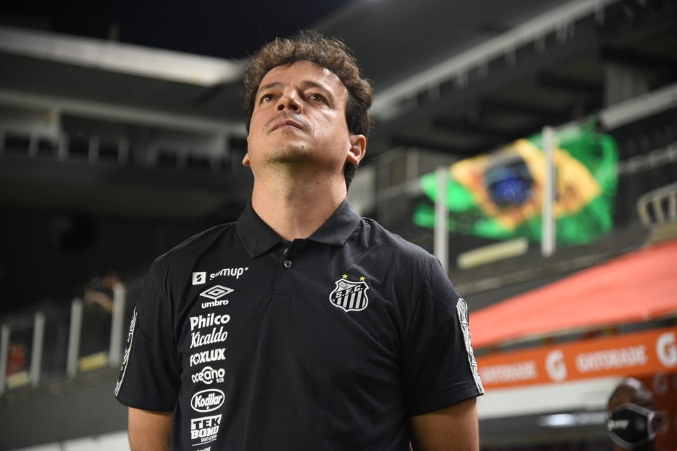Guia do Brasileirão - Santos Guia do Brasileirão - Santos