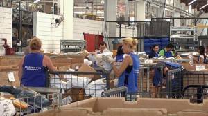 Saiba como funciona a fiscalização das compras pela internet