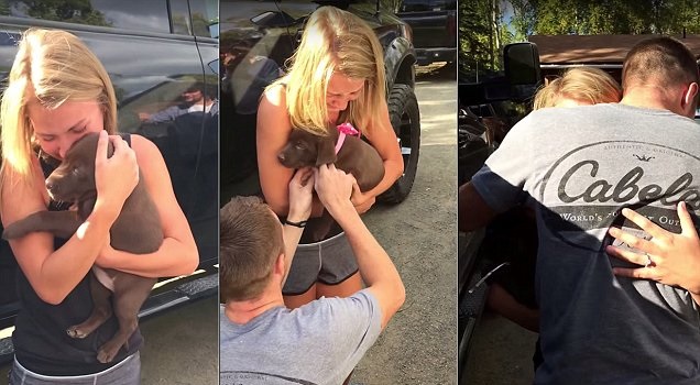 Reprodução/Youtube.