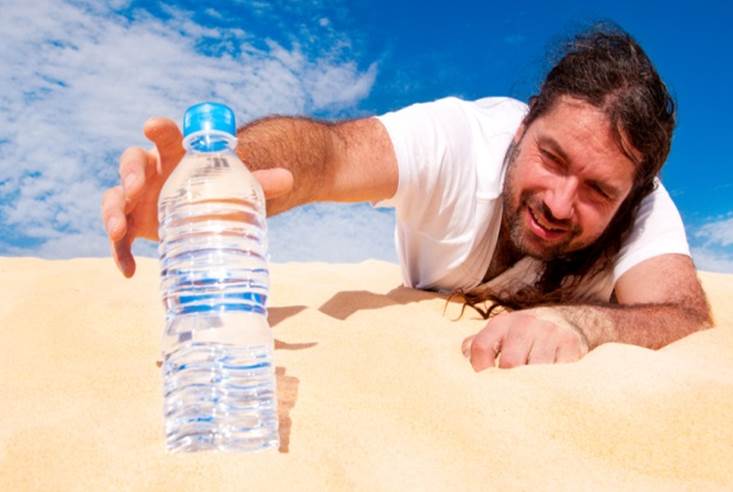 imagem: shutterstock imagem: shutterstock