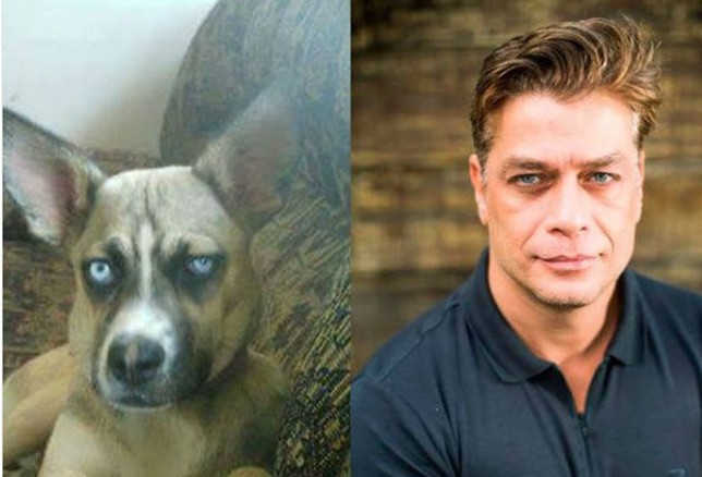 Foto: reprodução/Facebook.