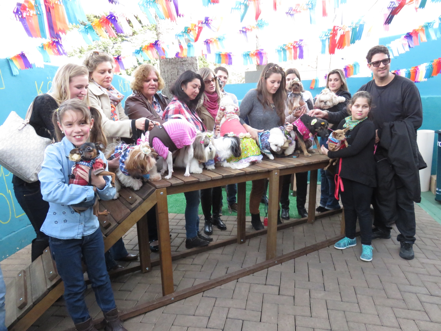 Foto: Divulgação Diversão - Centro de Bem Estar para Cães