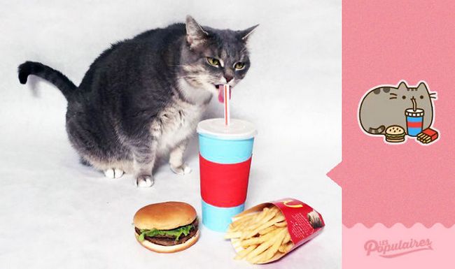 Julien Therrien achou seu gato de estimação parecido com o Pusheen, o gato dos stickers de Messenger, e decidiu fazer uma "versão real" da figura. Fotos: Reprodução 