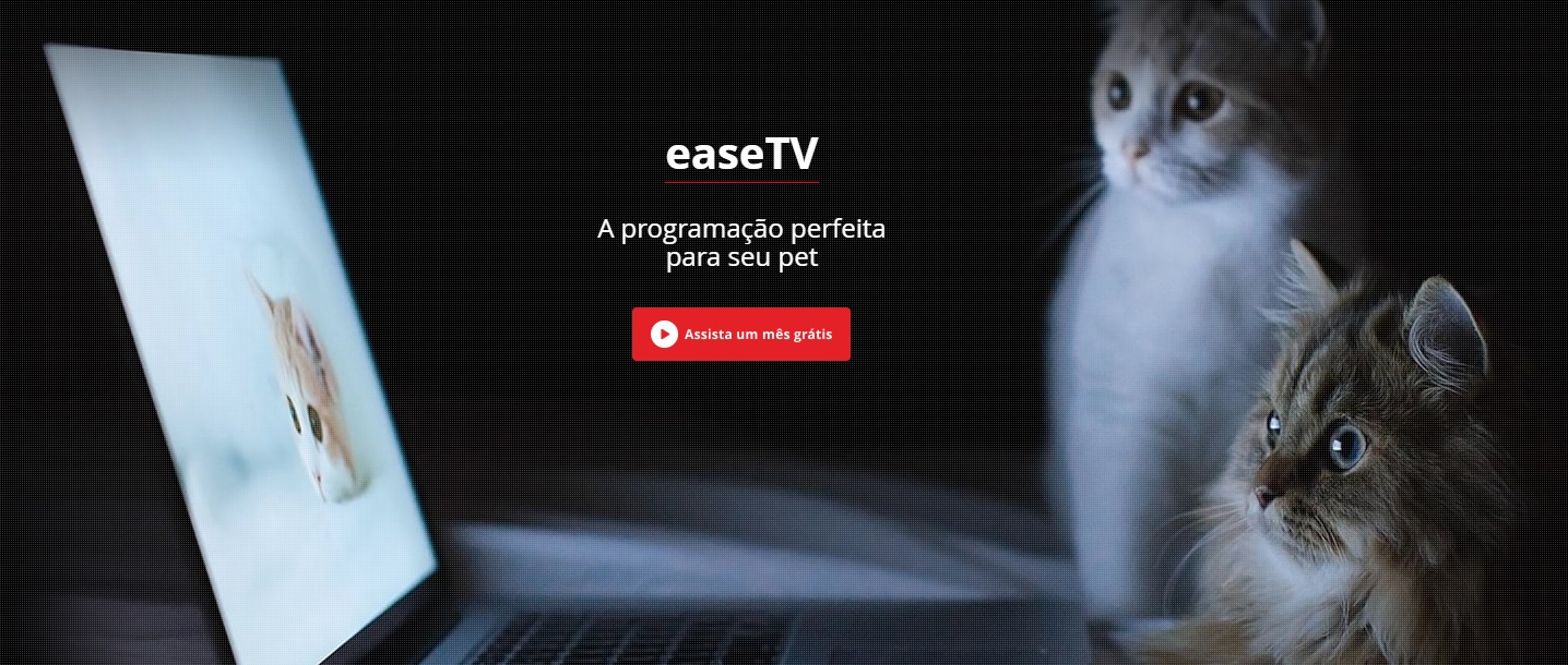 O canal tem diferentes programas, para diferentes objetivos (Foto: Reprodução do site)