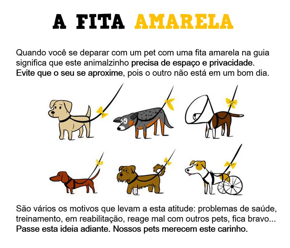 A campanha da Fita Amarela promove o respeito ao espaço do cãozinho. A campanha da Fita Amarela promove o respeito ao espaço do cãozinho.