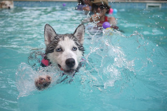 (Foto: VisualHunt)