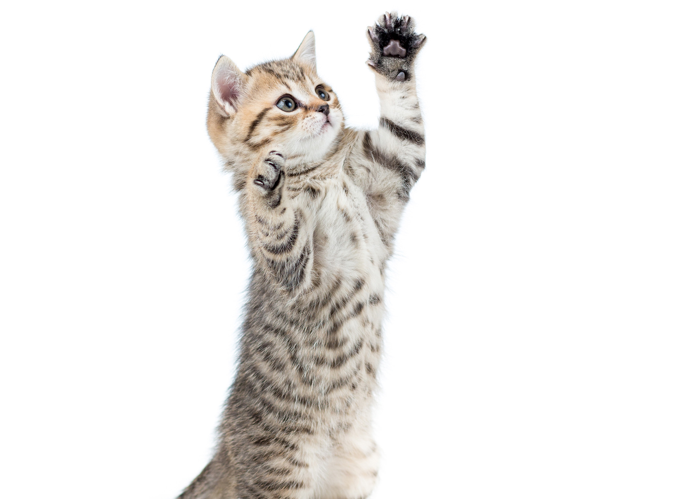 Foto: Bigstock
