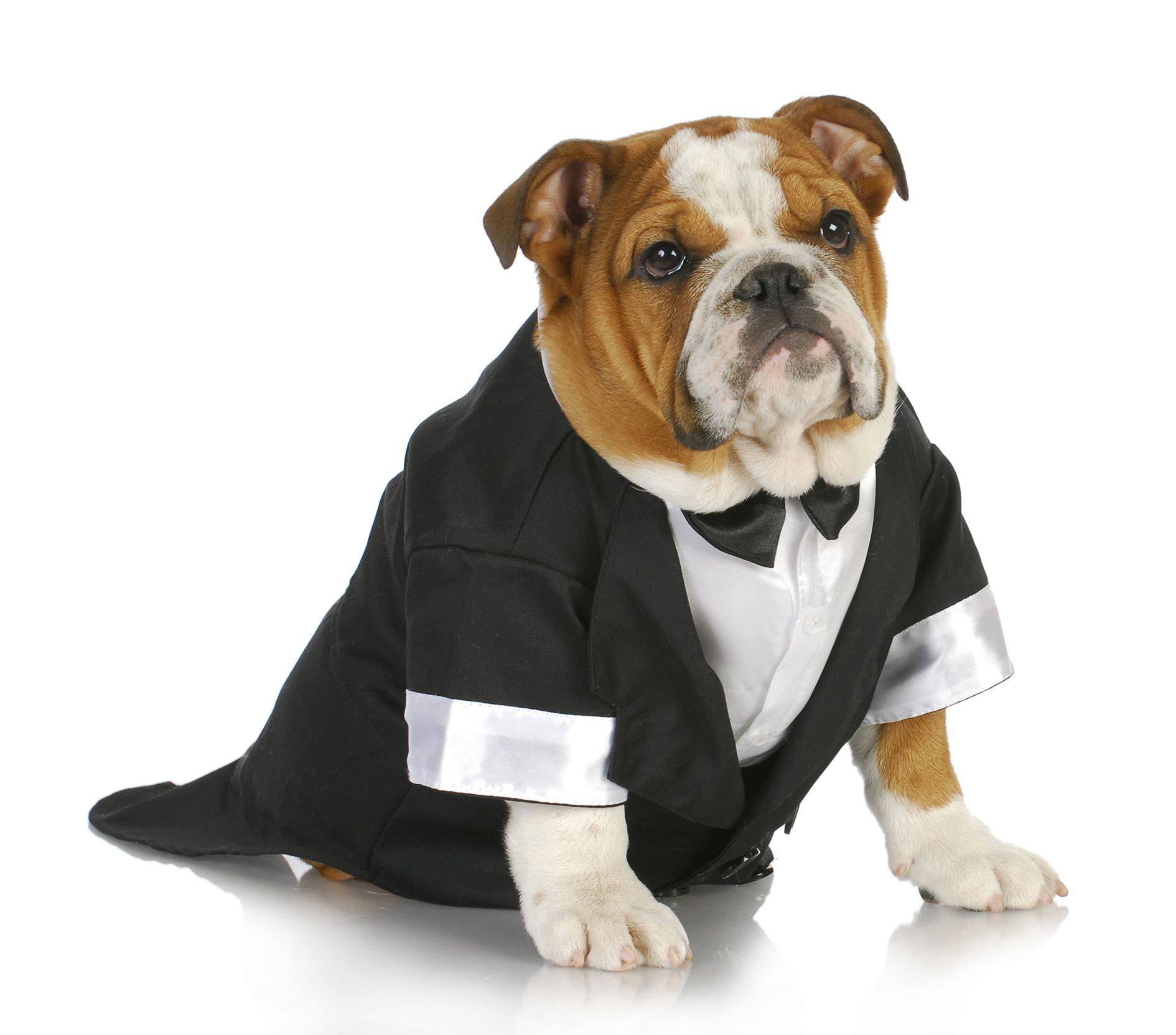 Foto: Bigstock