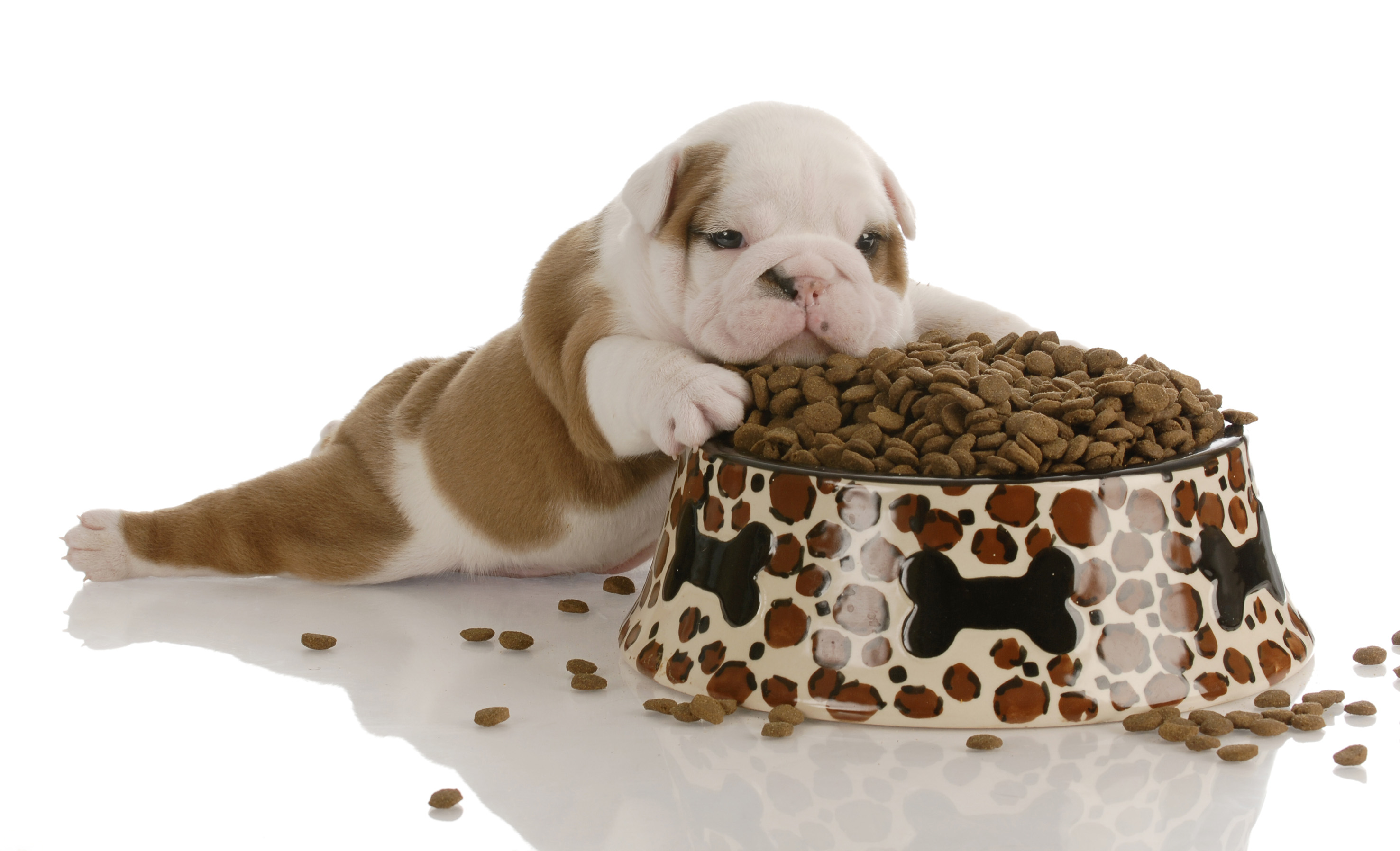 Foto: Bigstock