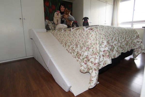 Sobe e desce machuca coluna dos cães, mas há solução Sobe e desce machuca coluna dos cães, mas há solução
